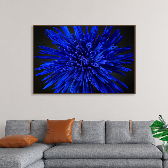 "Blue Flower"