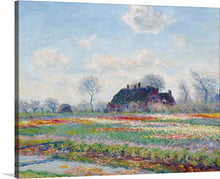  In Claude Monet's "Tulip Fields at Sassenheim" (1886), the artist captures the vibrant splendor of a Dutch tulip field in full bloom.  A vast expanse of tulips stretches across the canvas, their petals a riot of colors, from fiery reds and oranges to delicate pinks and yellows. 
