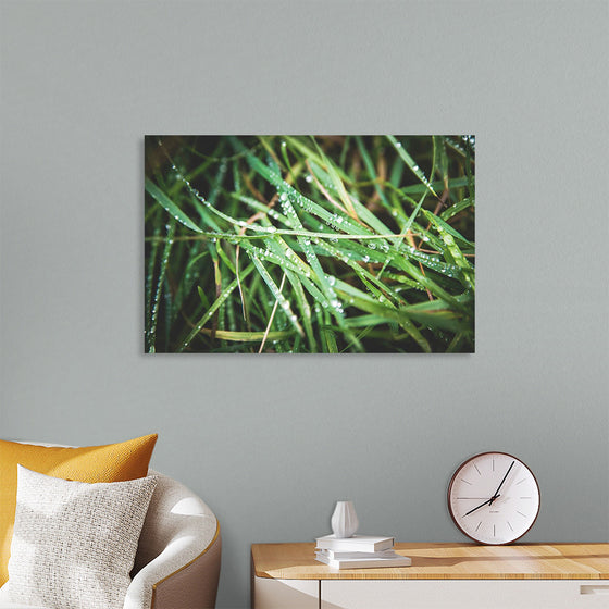 "Close Up of Wet Grass"