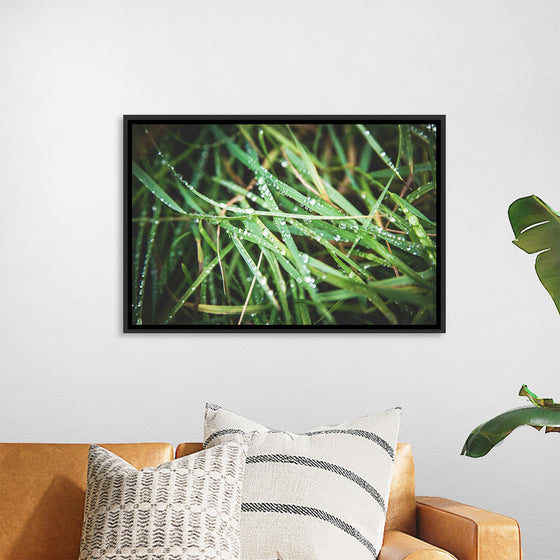 "Close Up of Wet Grass"