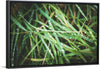 "Close Up of Wet Grass"