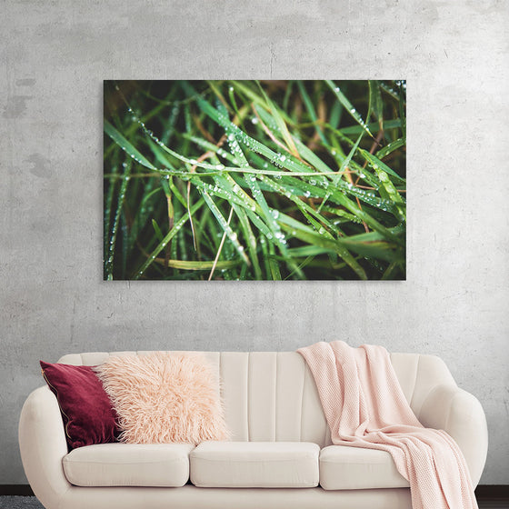 "Close Up of Wet Grass"