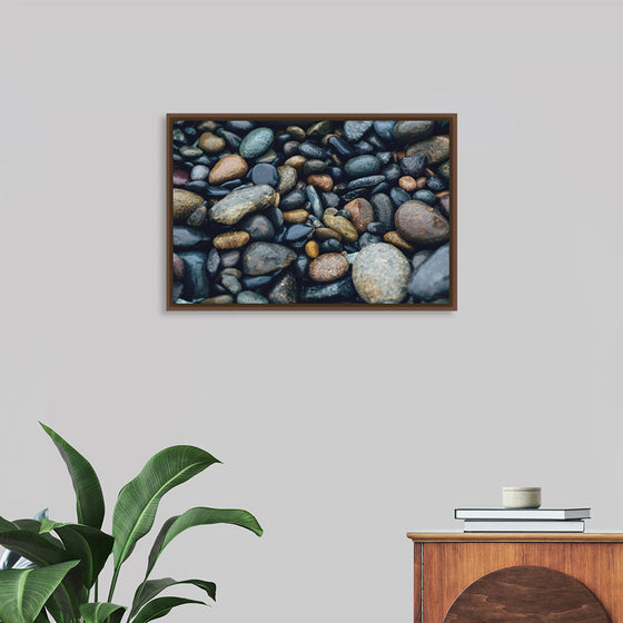 "Wet Beach Pebbles of Various Colors and Sizes at Oceanside"