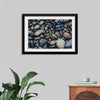 "Wet Beach Pebbles of Various Colors and Sizes at Oceanside"