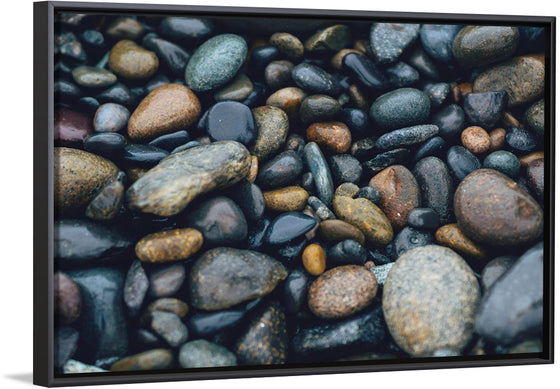 "Wet Beach Pebbles of Various Colors and Sizes at Oceanside"