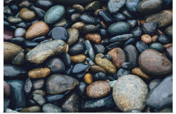 "Wet Beach Pebbles of Various Colors and Sizes at Oceanside"