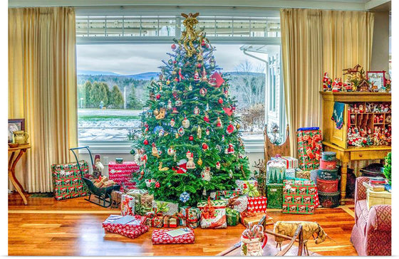 "Christmas Tree in Living Room"