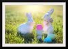 "Easter Eggs & Bunny"