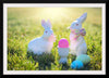 "Easter Eggs & Bunny"