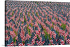 “Boston, United States” captures the essence of patriotism and unity. In this mesmerizing print, a sea of American flags waves gracefully, each meticulously placed to create a captivating pattern of stars and stripes. The lush green grass beneath contrasts boldly with the iconic red, white, and blue colors of the flags.
