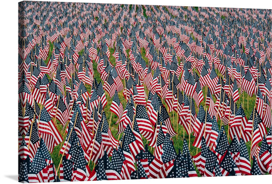 “Boston, United States” captures the essence of patriotism and unity. In this mesmerizing print, a sea of American flags waves gracefully, each meticulously placed to create a captivating pattern of stars and stripes. The lush green grass beneath contrasts boldly with the iconic red, white, and blue colors of the flags.
