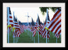 "Flags for those that served"