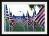 "Flags for those that served"