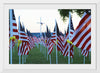 "Flags for those that served"