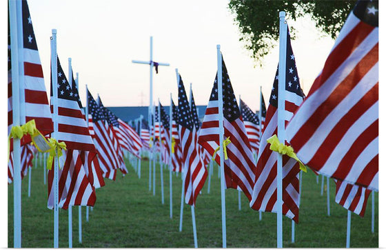 "Flags for those that served"