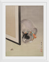 "Cat Watching a Spider", Oide Toko