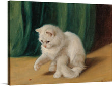  “Cat with Ladybug” by Arthur Heyer is a beautiful print that captures the playful nature of a cat. The print features a white cat with a ladybug on its paw, set against a green background. 