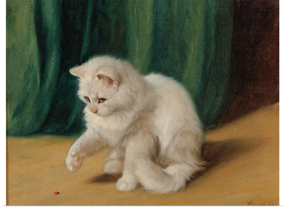 "Cat with Ladybug", Arthur Heyer