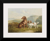 "Charles Jones Two Dogs 1857", Charles Jones