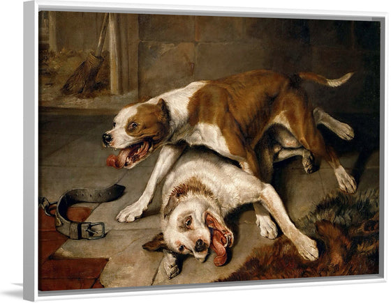 "Fighting dogs catching their breath",  Edwin Landseer