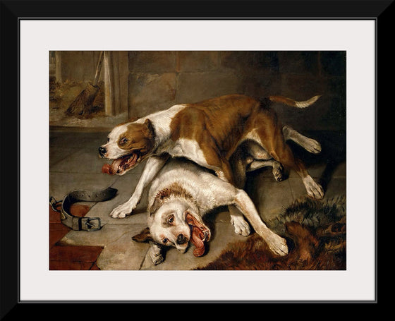 "Fighting dogs catching their breath",  Edwin Landseer