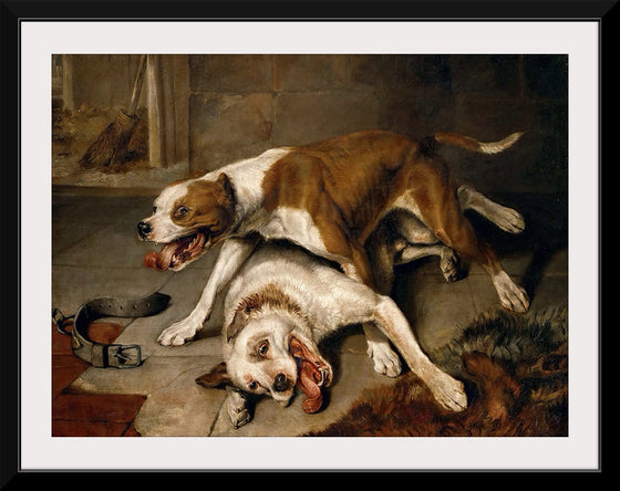 "Fighting dogs catching their breath",  Edwin Landseer