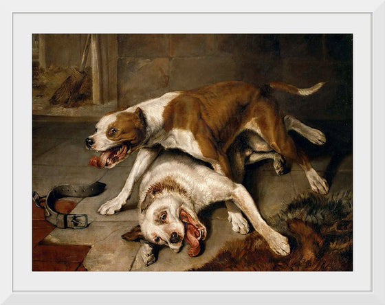 "Fighting dogs catching their breath",  Edwin Landseer