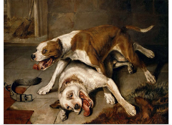 "Fighting dogs catching their breath",  Edwin Landseer