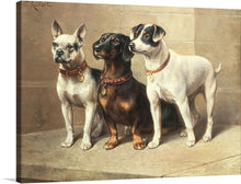  “Three Watchful Dogs (1918)” by Karl Reichert is a timeless masterpiece that captures the essence of canine loyalty and companionship. In this exquisite portrayal, three dogs sit side by side, their expressions a symphony of alertness and devotion. The artist’s meticulous attention to detail brings each dog’s coat to life—the softness of fur, the glint in their eyes, and the subtle play of light.