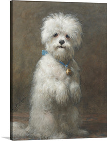  This captivating print features a fluffy white dog with a blue collar and a golden bell, sitting against a muted background. The ethereal quality of the dog’s white fur contrasted against the subdued backdrop evokes a sense of mystery and allure. The artist’s signature at the bottom adds a personal touch to the piece. 