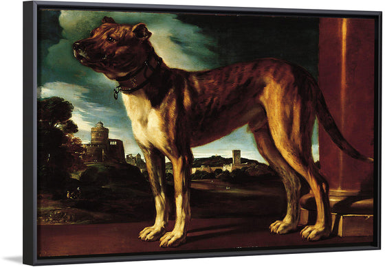 "Aldrovani Dog", Guercino