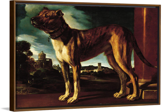 "Aldrovani Dog", Guercino