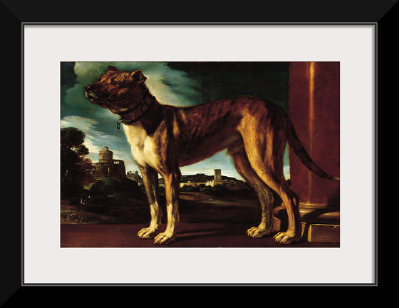 "Aldrovani Dog", Guercino