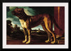 "Aldrovani Dog", Guercino