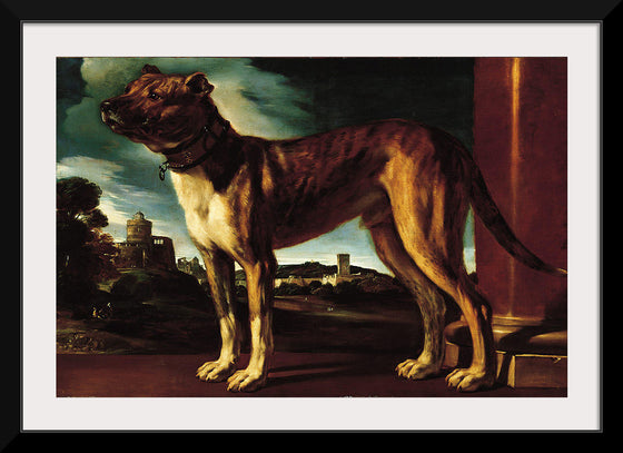 "Aldrovani Dog", Guercino