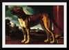 "Aldrovani Dog", Guercino