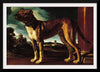 "Aldrovani Dog", Guercino