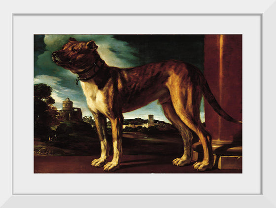 "Aldrovani Dog", Guercino