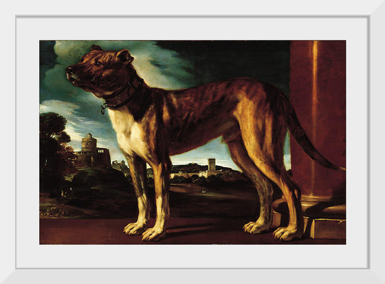 "Aldrovani Dog", Guercino