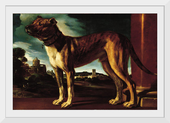 "Aldrovani Dog", Guercino