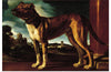 "Aldrovani Dog", Guercino