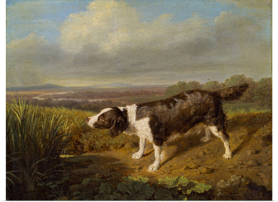 "Hunting dog of Count Esterházy", Ferdinand Georg Waldmuller