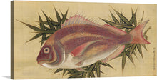  “Painting of a Red Sea Bream (Tai)” by Ogawa Haritsu is a stunning artwork that captures the beauty of one of the most beloved sea creatures. The painting features a detailed depiction of a Red Sea Bream (Tai) surrounded by bamboo leaves. The fish is painted with intricate details showcasing various shades of red, pink, white, and other colors to highlight its scales and fins.