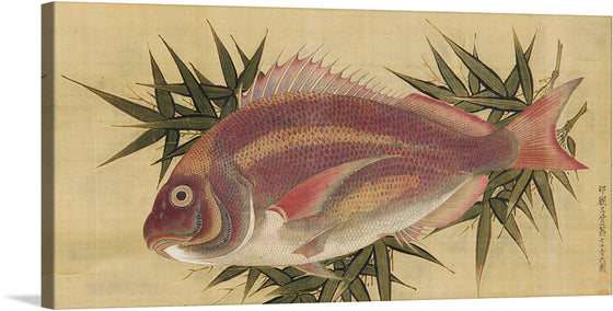 “Painting of a Red Sea Bream (Tai)” by Ogawa Haritsu is a stunning artwork that captures the beauty of one of the most beloved sea creatures. The painting features a detailed depiction of a Red Sea Bream (Tai) surrounded by bamboo leaves. The fish is painted with intricate details showcasing various shades of red, pink, white, and other colors to highlight its scales and fins.