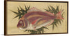 "Painting of a Red Sea Bream (Tai)", Ogawa Haritsu