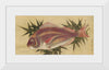 "Painting of a Red Sea Bream (Tai)", Ogawa Haritsu