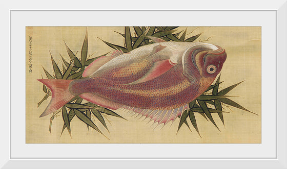 "Painting of a Red Sea Bream (Tai)", Ogawa Haritsu