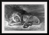 "Lion and Snake", Delacroix