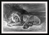 "Lion and Snake", Delacroix