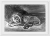 "Lion and Snake", Delacroix